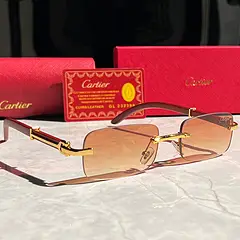 Cartier Panthère Sunglasses [29 styles] — foto 4 de 4