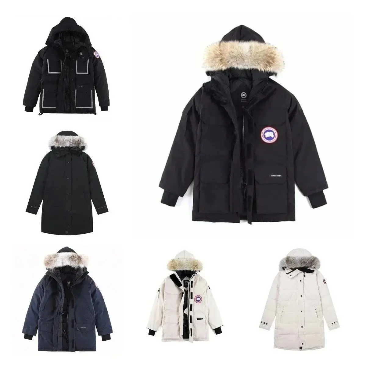 Canada Goose