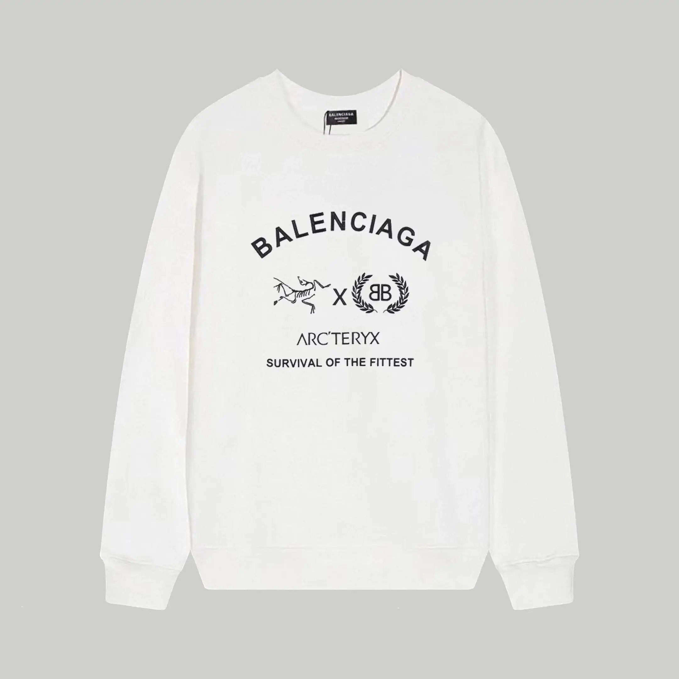 Balenciaga Hoodie  (15 styles) — foto 6 de 8