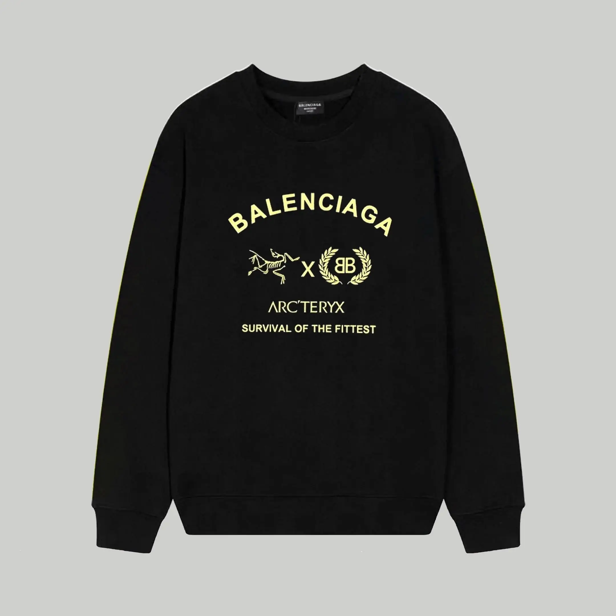 Balenciaga Hoodie  (15 styles) — foto 7 de 8